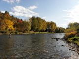 Dunajec w Krościenku